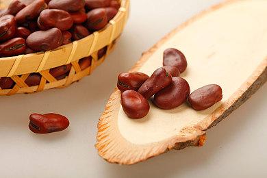 《怪物猎人崛起：曙光》销量突破1000万 全系列突破1.2亿